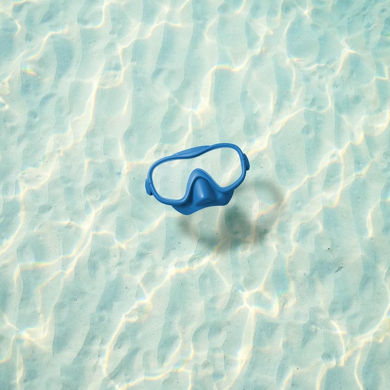 Snorkeling with Marine Life